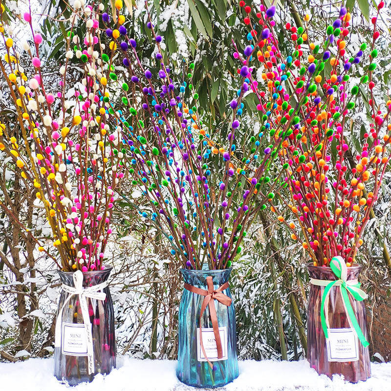 银柳真花年宵花卉彩色银柳鲜枝银柳干花客厅可放装饰