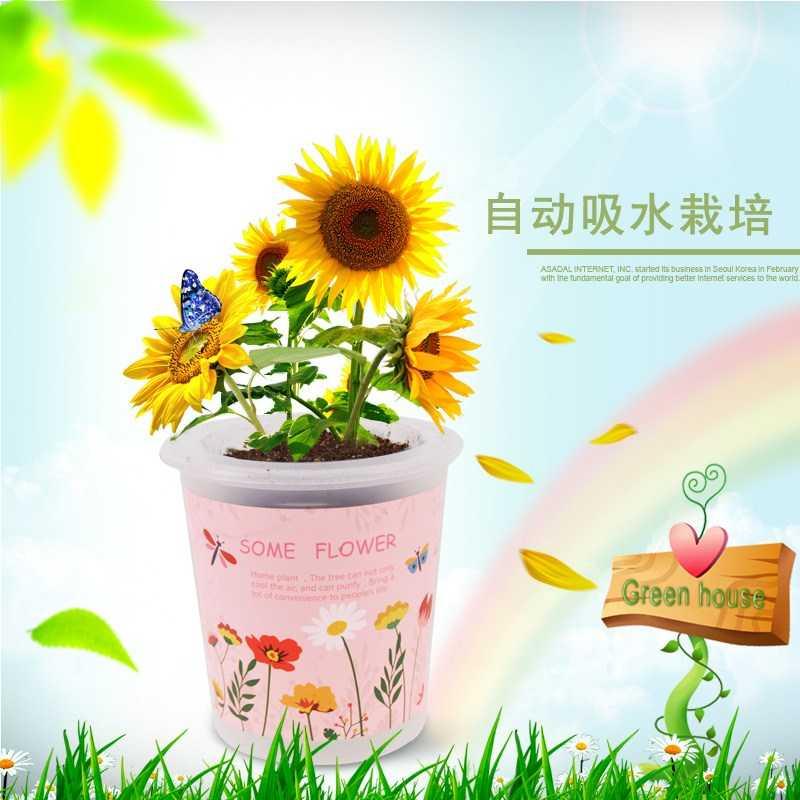 易活草莓可爱魔豆迷你盆栽会开花的植物儿童diy发芽种植礼物