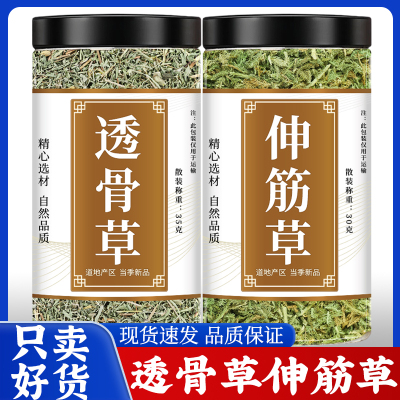 透骨草伸筋草中药材正品筋骨草