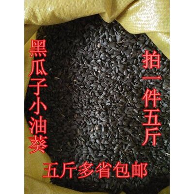 生黑珍珠小瓜子葵花子油葵籽鹦鹉鸟食仓鼠零食鸟粮鸽粮5斤包邮 虎窝淘