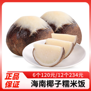 琼宝原味椰子饭560g正宗海南特产生椰糯米饭方便速食酒店餐饮年货