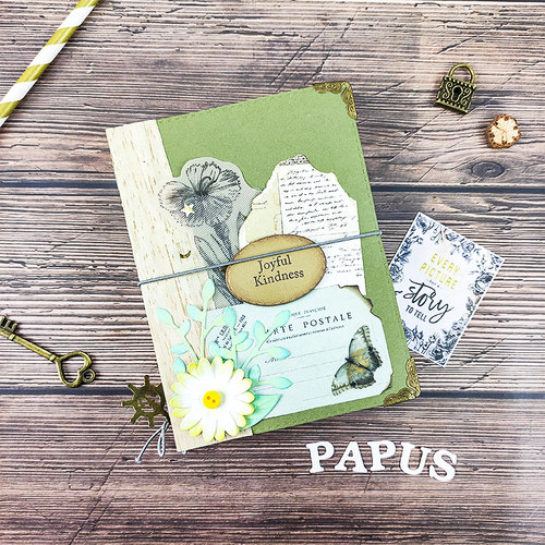 papus自制旅行本手tn模组diy