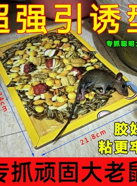 老鼠粘强力粘鼠板家用一窝全端捕鼠专用黏鼠板超强胶粘鼠板捕鼠器