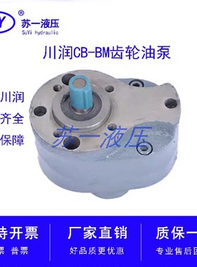 四川川润齿轮泵CB-BM40原厂出品