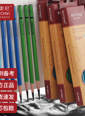 尼奥尼炭笔美术生专用nyoni素描碳笔套装特软速写笔绘画铅笔软中硬软炭中炭硬炭碳铅碳素笔12B比14B工具软碳