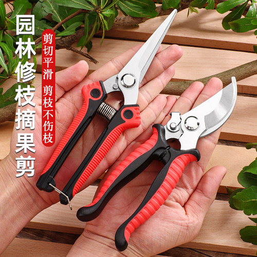 傲亮修枝剪园艺盆栽果树枝剪