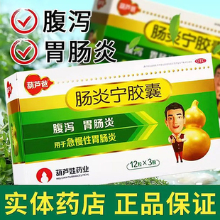 葫芦爸肠炎宁胶囊官方旗舰店腹泻急慢性胃肠炎中药小儿消化不良
