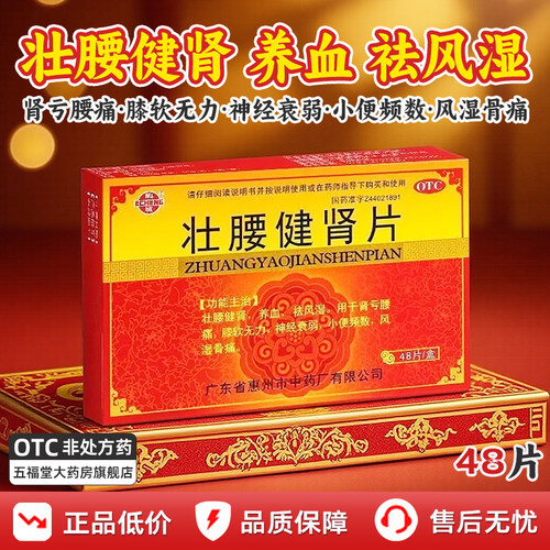 [鹅城]壮腰健肾片48片/盒神经衰弱风湿骨痛养血壮腰健肾补肾