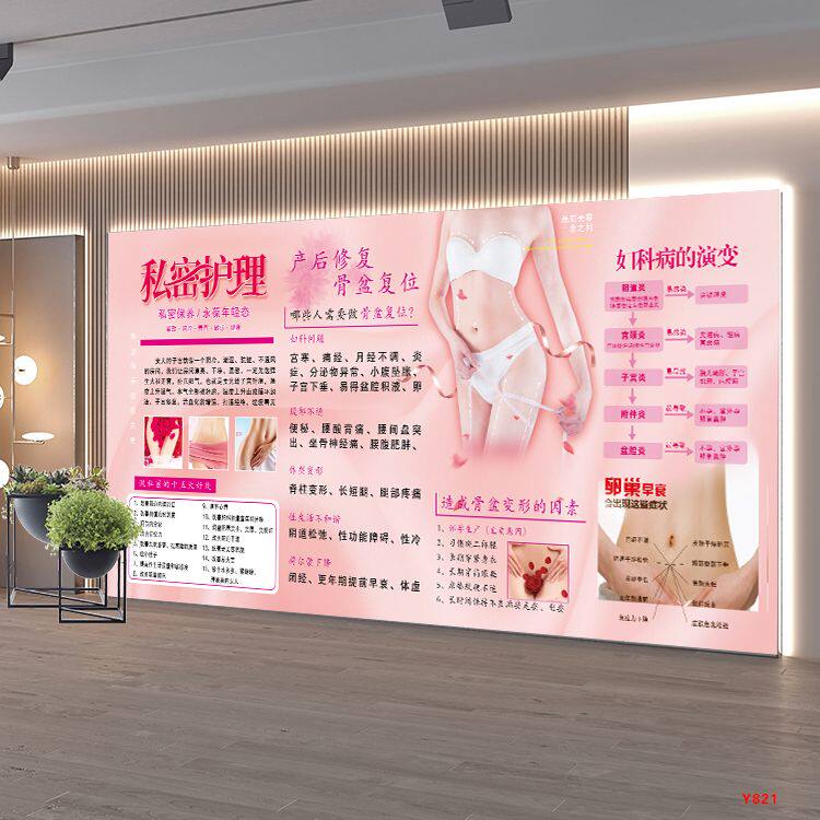 私密保养护理广告宣传海报产后修复装饰贴纸画妇科卵巢骨盆挂图