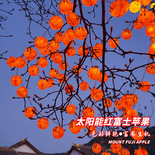 太阳能柿子灯串小红灯笼红富士树挂LED新年户外装饰春节氛围彩灯
