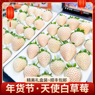 【团长专享】淡雪白色恋人雪宝白草莓1/2斤新鲜丹东草莓白雪公主