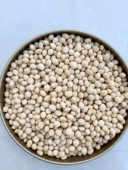 自家笨黄豆 介意慎拍 颜值不高