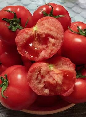 陕西泾阳普罗旺斯水果西红柿4.5斤13-16个