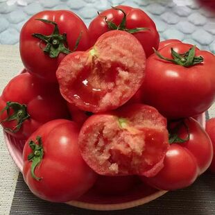 陕西泾阳普罗旺斯西红柿4.5斤13-16枚  京东快递