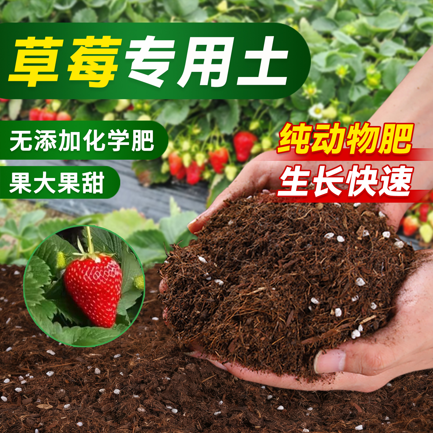 草莓专用营养土疏松透气均衡配比