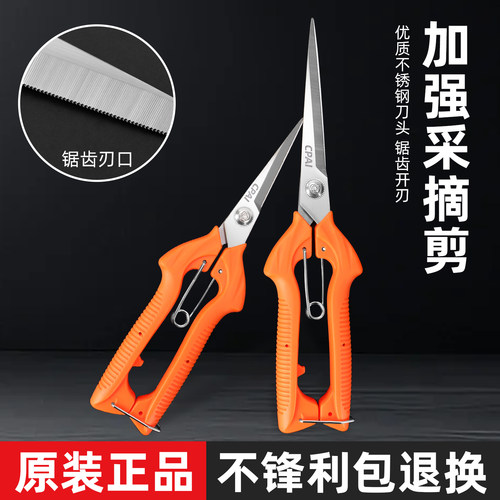 CPAI不锈钢摘果修枝剪刀园艺家用
