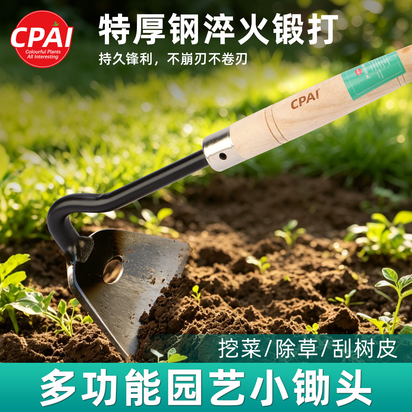 锰钢淬火小锄头家用种菜开荒园艺挖地除草专用小锄头菜地刮皮农具