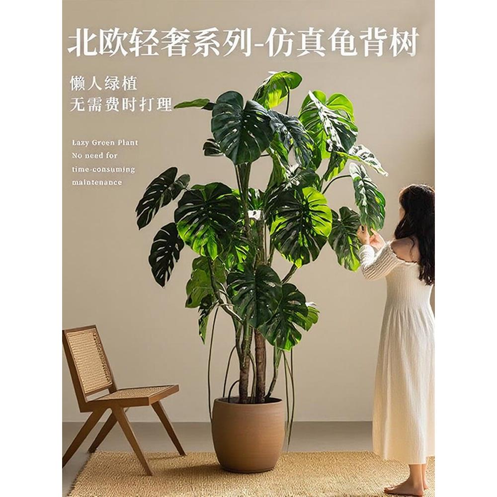 大型怪物树模拟绿色植物盆栽经典装饰怪物地板到天花板的窗户景观