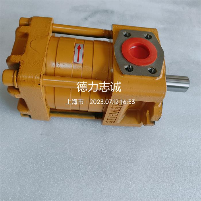 NT2-G10 12 16F NT3-G20 25 32F NT4-G40 50 63F NBZ3 NBT4齿轮泵