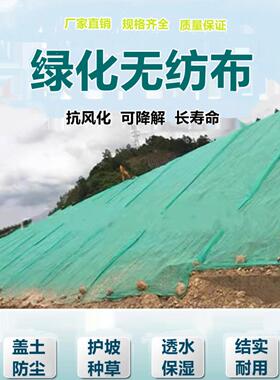 绿化无纺布绿色透气膜园林工地防尘盖土布草坪护坡边坡种草无纺布