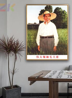 毛主席像画像在天津农村视察墙画中堂客厅壁挂像伟人玄关装饰挂c3