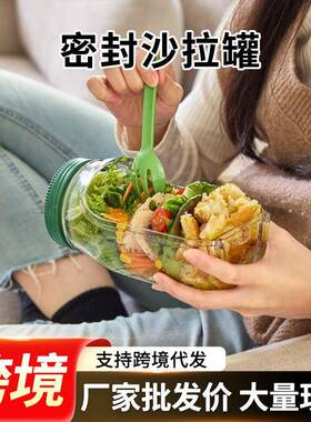 现货Saladkind Salad Pod Built塑料防漏沙拉收纳罐跨境现货
