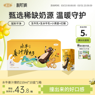 左江水牛姜汁撞奶210ml 10盒古法红糖水牛奶学生女性营养早餐奶