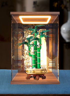 适用 乐高ICONS系列10344富贵竹创意盆栽积木亚克力回形灯展示盒