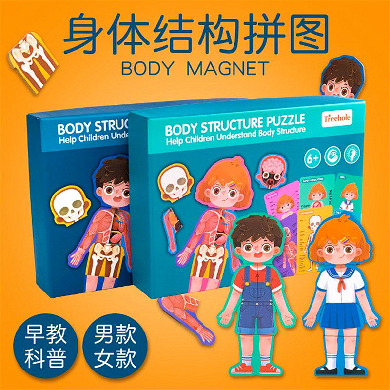 幼儿园益智区材料科学发现室玩教具男孩女孩人体身体结构立体拼图