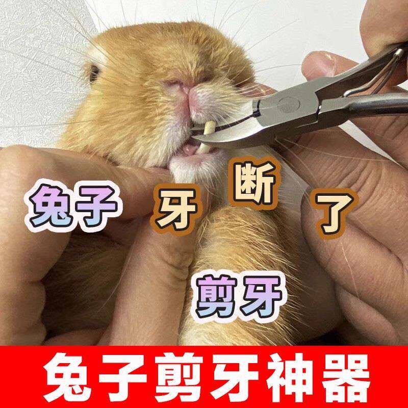 兔子剪牙钳子剪指甲刀侏儒兔小猪仔剪乳牙神器牙齿修剪不锈钢工具