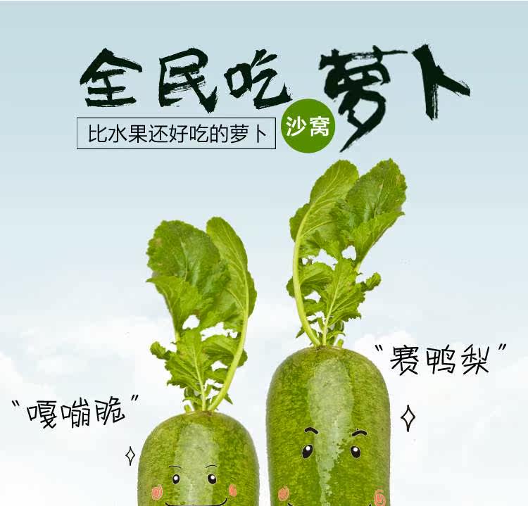 正宗潍坊水果萝卜9-10斤礼盒装甜脆多汁潍坊萝卜固堤瓜茬水果萝卜|ruв категории упаковка, упаковка пищевых продуктов, 水果包装 - от Buy2taobao.com для оказания профессиональной услуги покупки агента Taobao