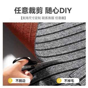 免洗可裁剪耐脏家用防滑高级感门口门垫进门脚垫 入户地垫2023新款