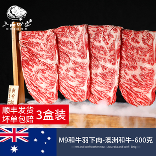 三品四季 澳洲纯血和牛M9上脑切牛肉卷寿喜烧食材羽下肉肥牛片600g