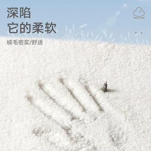卧室床边毯女孩房间地毯客厅茶几毯家用地垫可爱宿舍毛毯 蔓越家