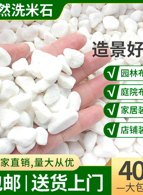 白色小石头子阳台天然大鹅卵石庭院铺路地面40斤造景观枯山水装饰