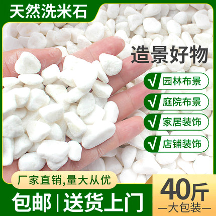 白色小石头子阳台天然大鹅卵石庭院铺路地面40斤造景观枯山水装饰
