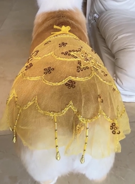 狗狗裙子柯基搞笑拍照道具蕾丝肚皮舞面纱夏天小型犬宠物凉凉衣服