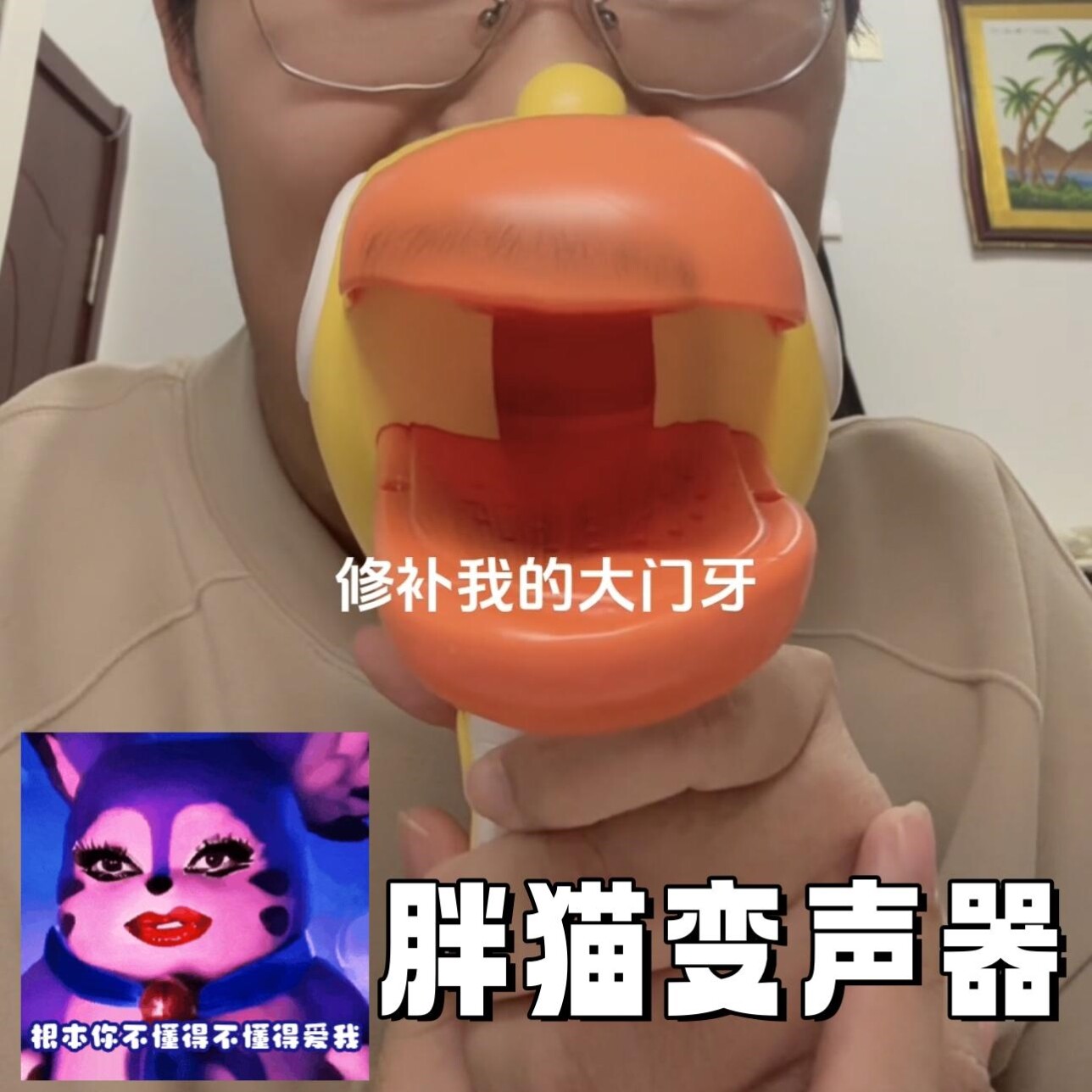 胖猫变声器大嘴鸟小喇叭恶搞搞怪玩具可吹唱歌麦克风可录音扬声器图片