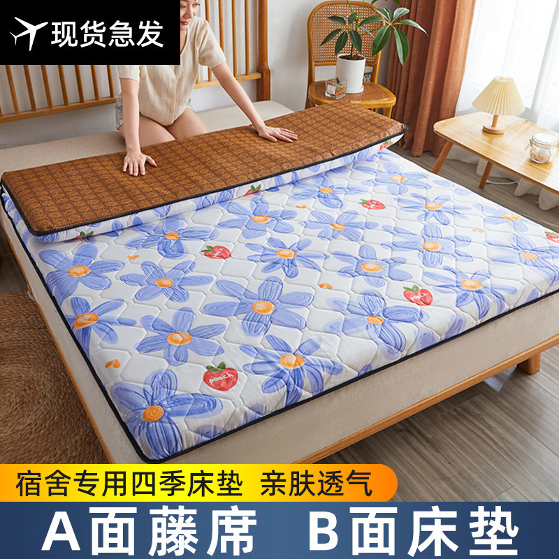 Đệm Giường Chiếu Mát Mùa Hè Đệm Giường Đơn Trẻ Em Chuyên Dùng Cho Ký Túc Xá Học Sinh Đệm Mềm Trải Sàn Hai Công Dụng Mùa Đông Hạ