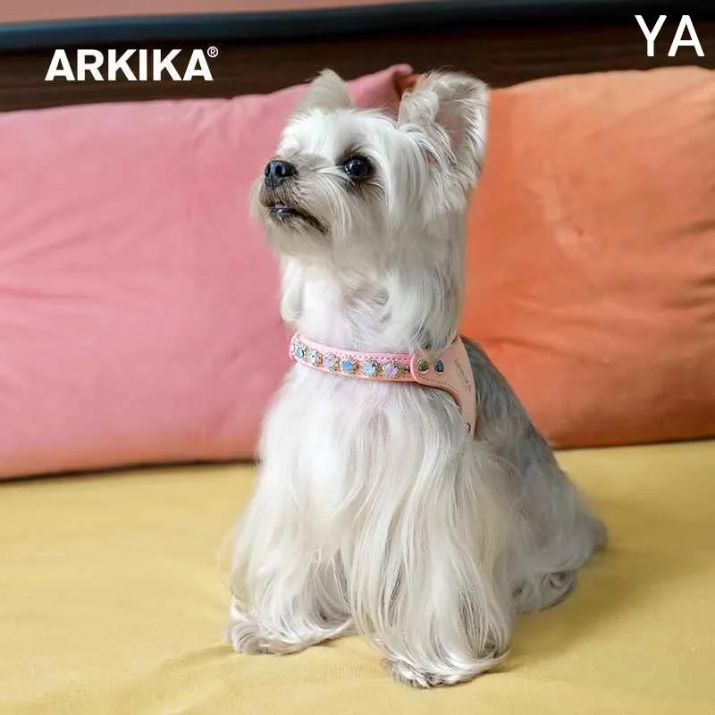 ARKIKA小型犬狗狗牵引绳胸背式约克夏茶杯泰迪宠物网红外出遛新款