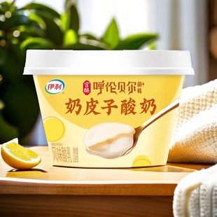 伊利奶皮子酸奶宫酪呼伦贝尔菌种酸奶138g