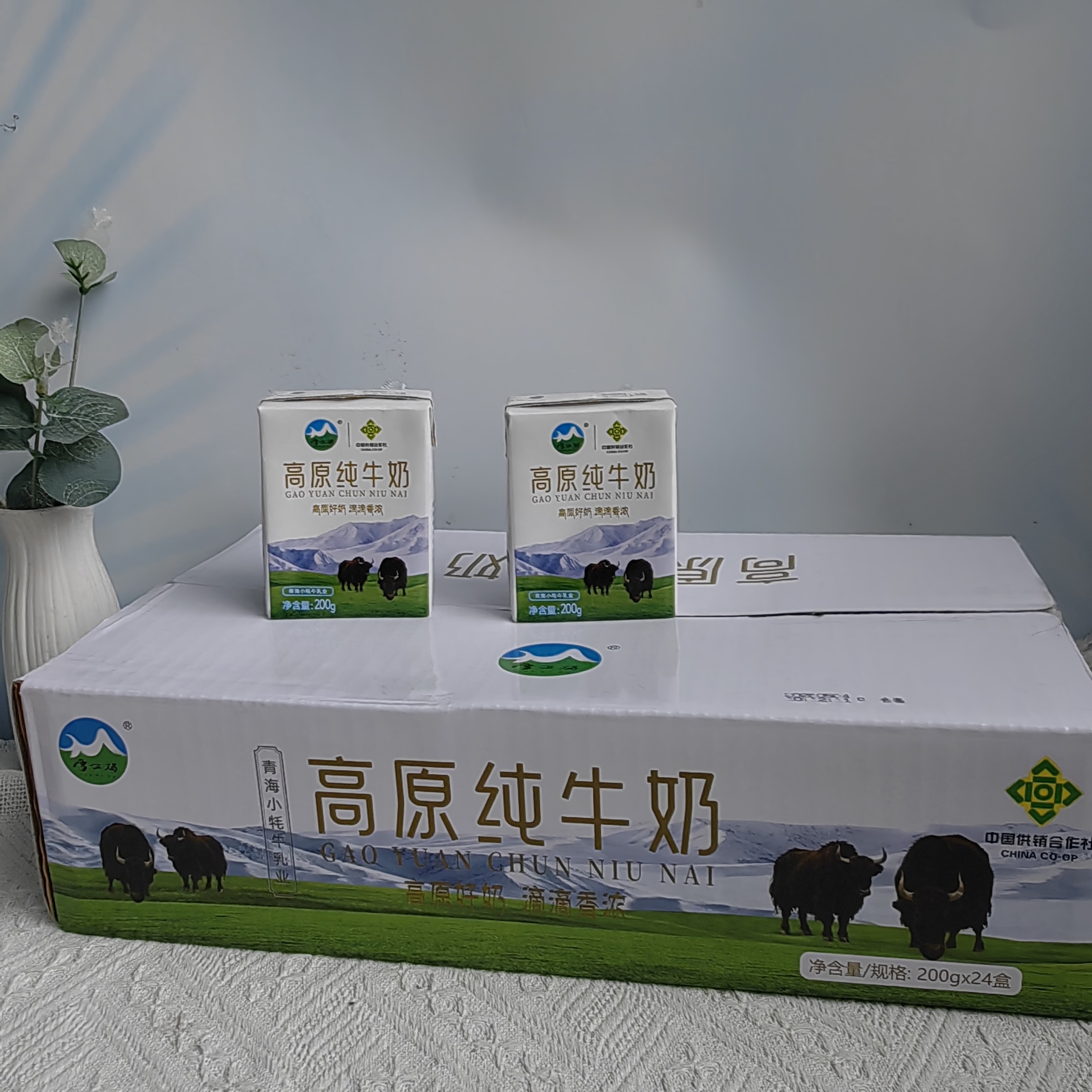 雪尔玛高原纯牛奶中国供销合作社青海小牦牛乳业出品200ml*24瓶