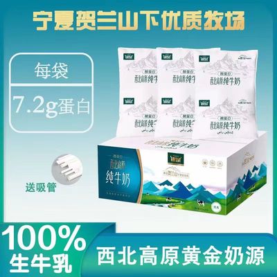 银泉西北高原纯牛奶源自贺兰山黄金奶源全脂灭菌乳200ml*12袋整件