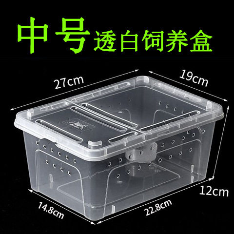 中号爬宠饲养盒角蛙蜘蛛蜥蜴仓鼠豹纹守宫塑料饲养箱蚕宝宝盒