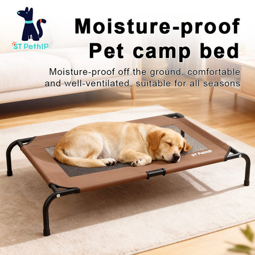 AmazonPetCampinBedsummer