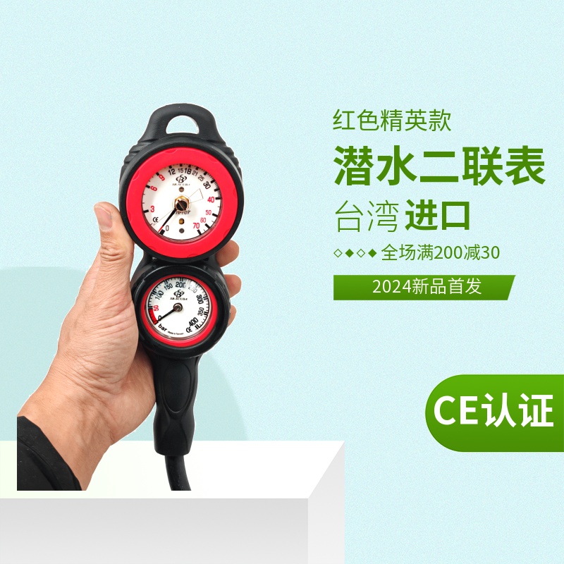 台湾进口专业两联表潜水仪表