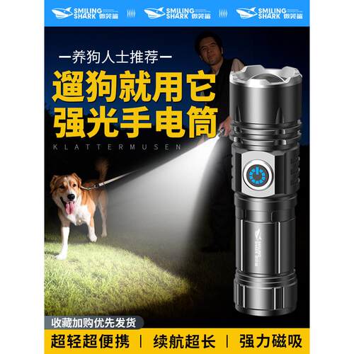 迷你强光手电筒，超亮可充电夜间狗行走灯，猫和狗夜间跑灯，磁性