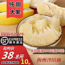 现货顺丰包邮正宗梅州沙田柚金柚纯甜当季孕妇新鲜水果白心柚子10