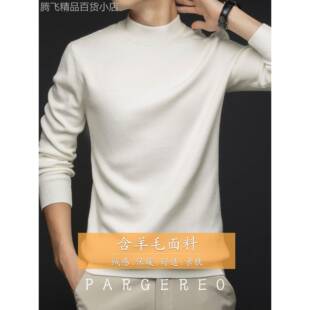 含羊毛）针织衫毛衣男爸爸装稳重百搭秋冬商务休闲半高领套头上衣