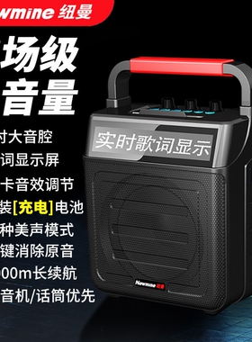 纽曼K22户外k歌蓝牙音箱大音量广吉他乐器用小型便携场舞音响电木